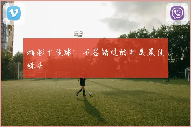 精彩十佳球：不容错过的年度最佳镜头