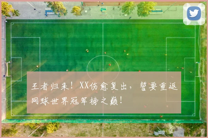王者归来！XX伤愈复出，誓要重返网球世界冠军榜之巅！
